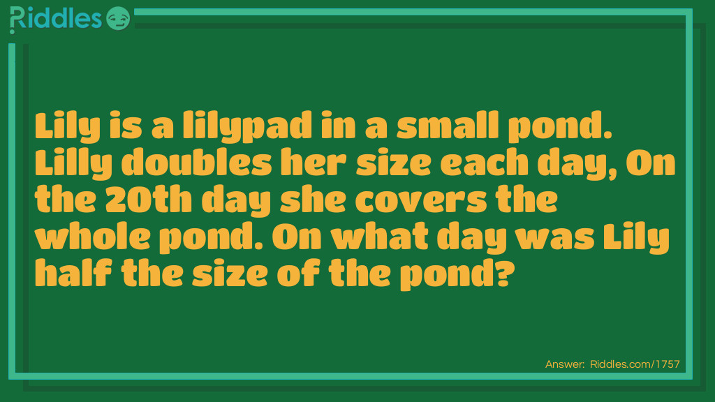 Lily is a lilypad in a small pond. Lilly doubles her size each day, On the 20th day she covers the whole pond. On <a href="/6185">what day</a> was Lily half the size of the pond?
