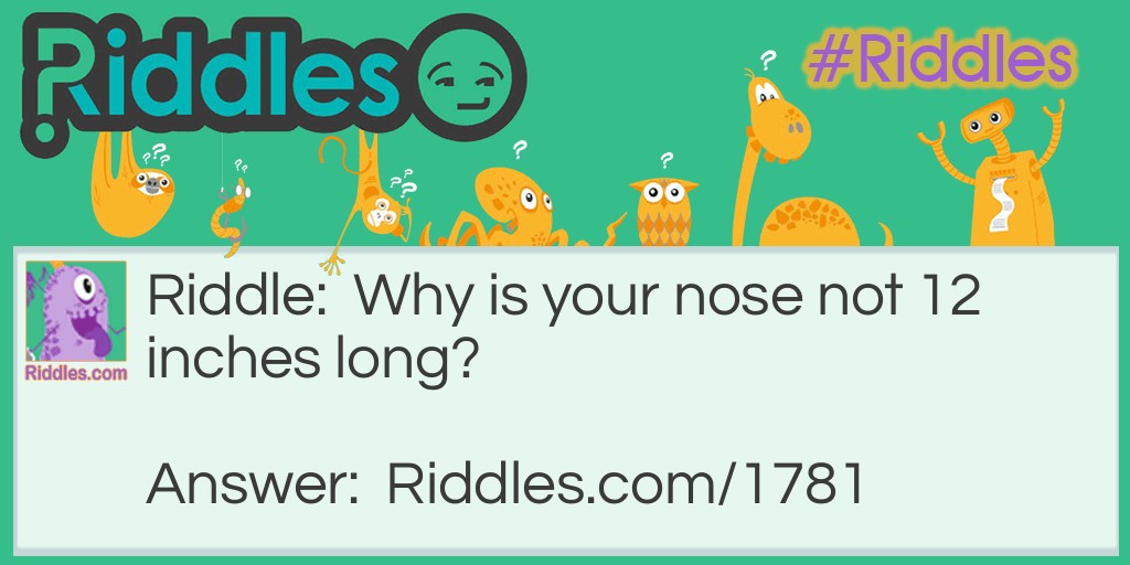 Riddle: Why is your nose not 12 inches long? Answer: Because it would then be a foot.