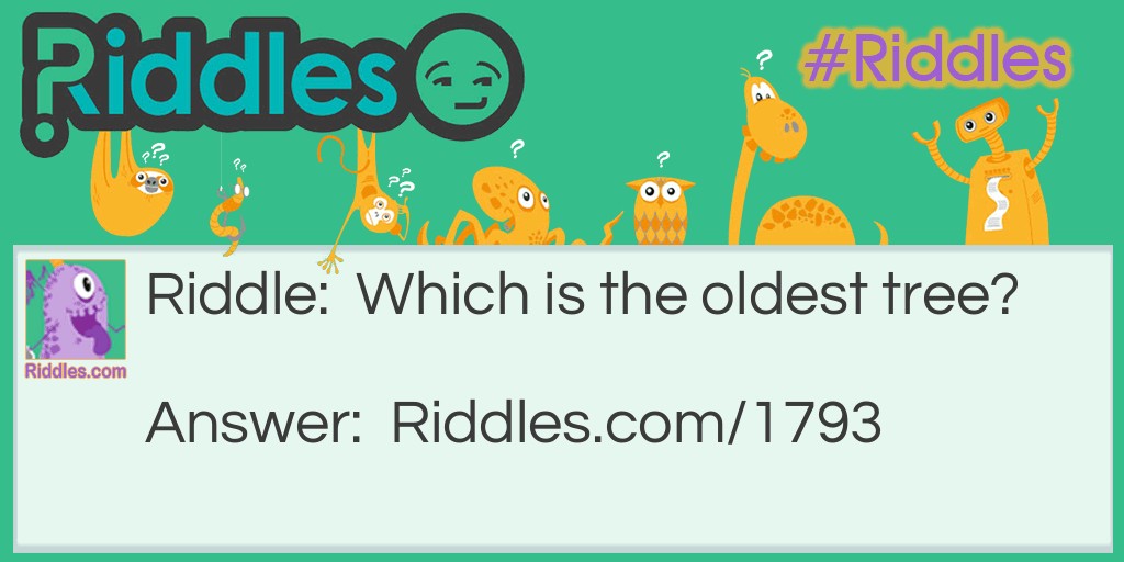 Kids Riddles: Which is the oldest tree? Riddle Meme.