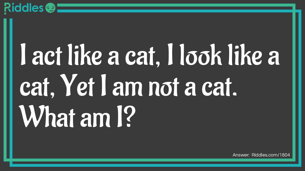 Kids Riddles A To Z: I act like a cat, I look like a cat, Yet I am not a cat. What am I? Answer: Kitten.