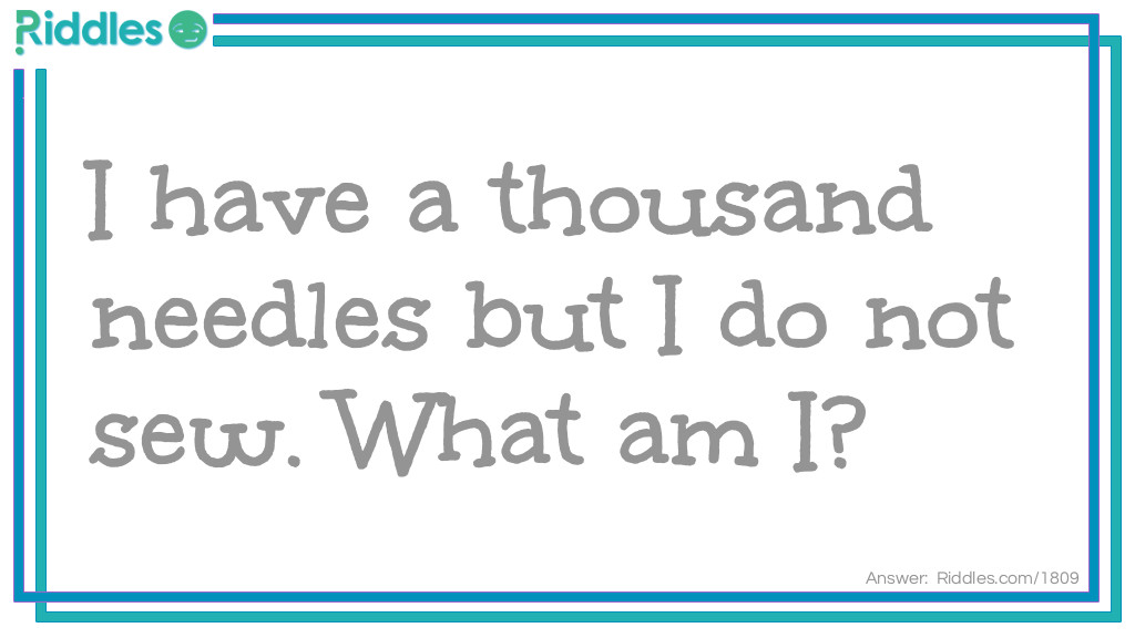 What Am I Riddles What Am I Riddles