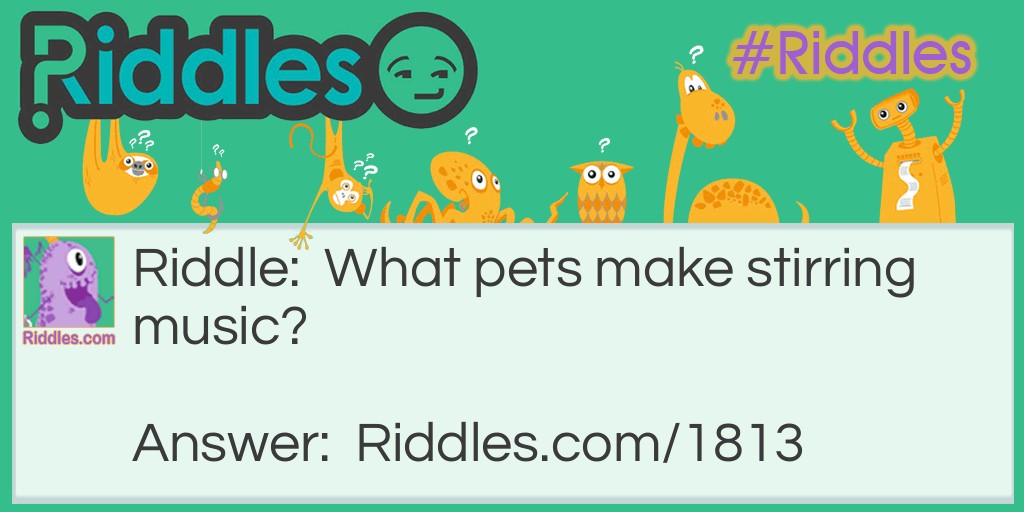 What pets make stirring music - Answer clue "T" Riddle Meme.