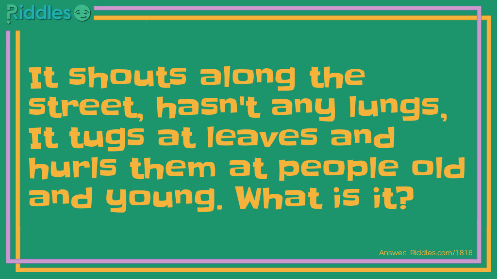 It shouts along the street, hasn't any lungs, It tugs at leaves and hurls them at people old and <a href="/riddles-for-kids">young</a>. What is it?