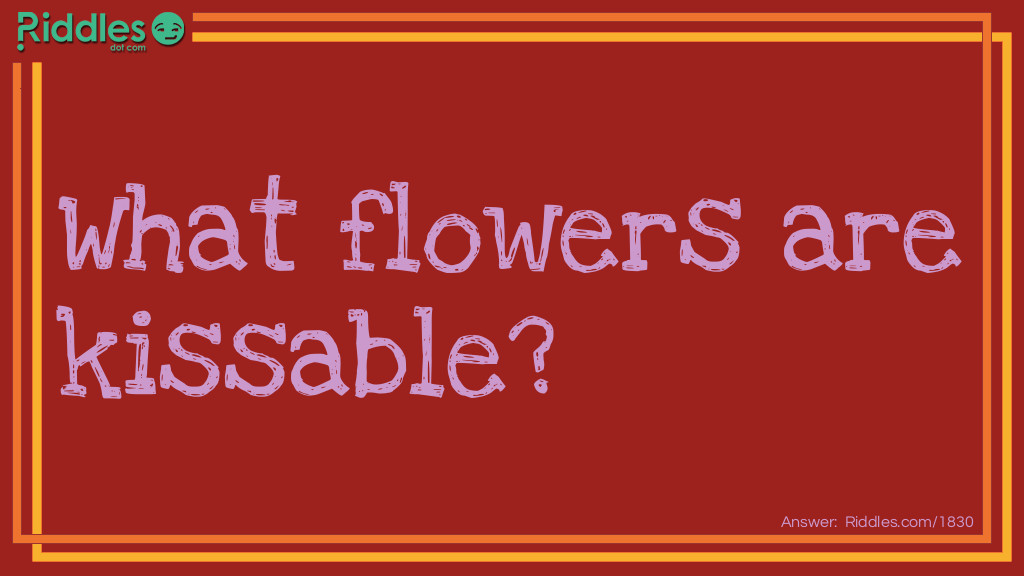 Click to see riddle What flowers are kissable answer.