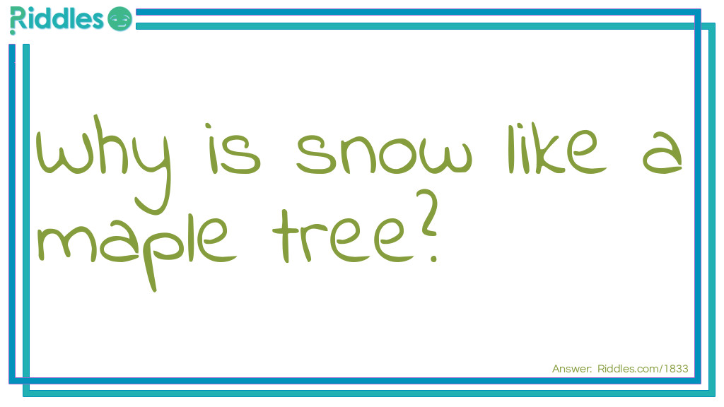 Click to see riddle Maple Tree answer.