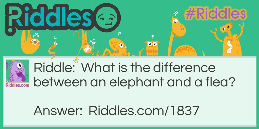 Riddle: What is the difference between an elephant and a flea? Answer: An elephant can have fleas but a flea can't have elephants.