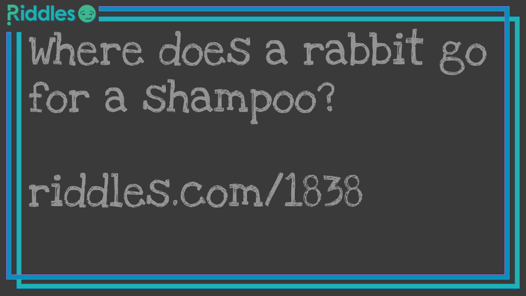 Click to see riddle Where does a rabbit go for a shampoo... answer.