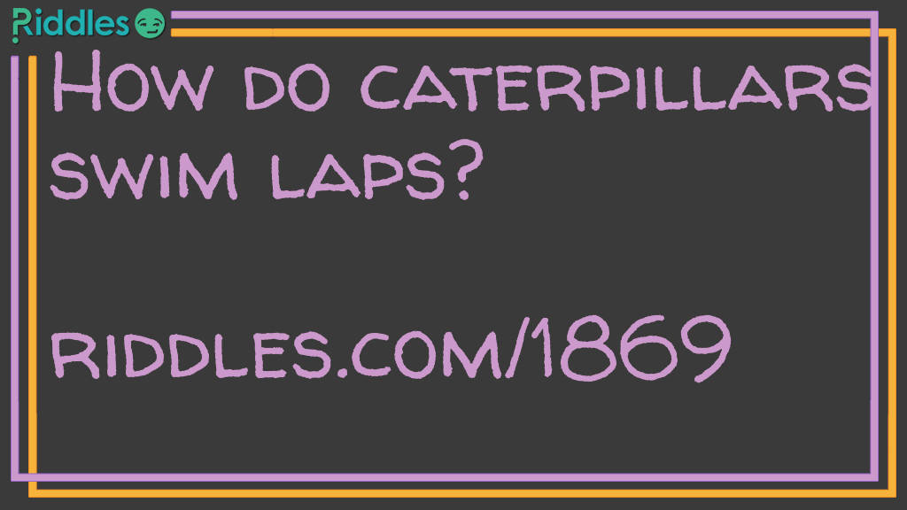 How do caterpillars swim laps?