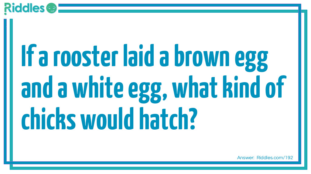 Easter Riddles: If a rooster laid a brown egg and a white egg, what kind of chicks would hatch? Answer: Roosters don't lay eggs.