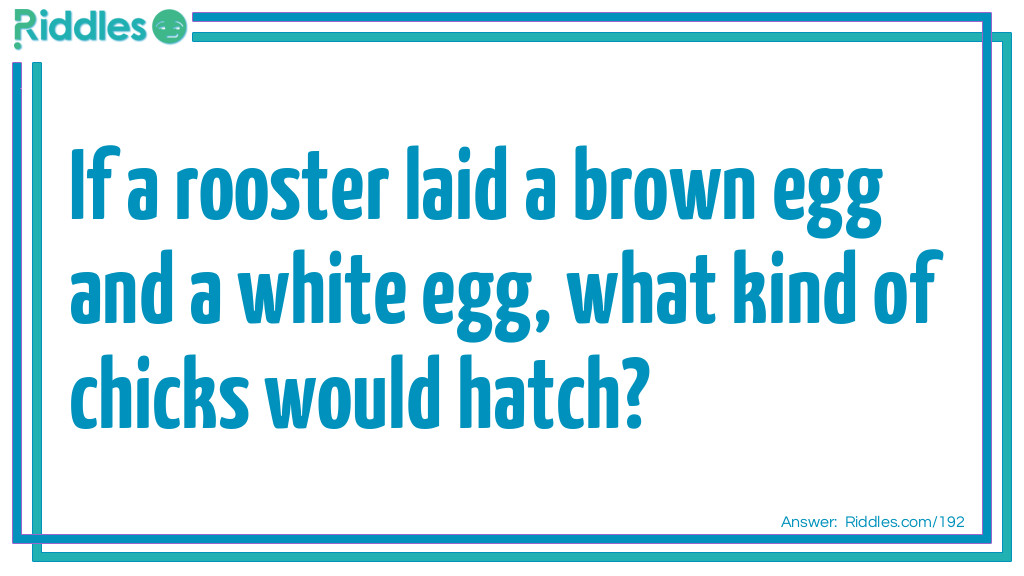 Click to see riddle If a rooster laid a brown egg and a white egg... answer.