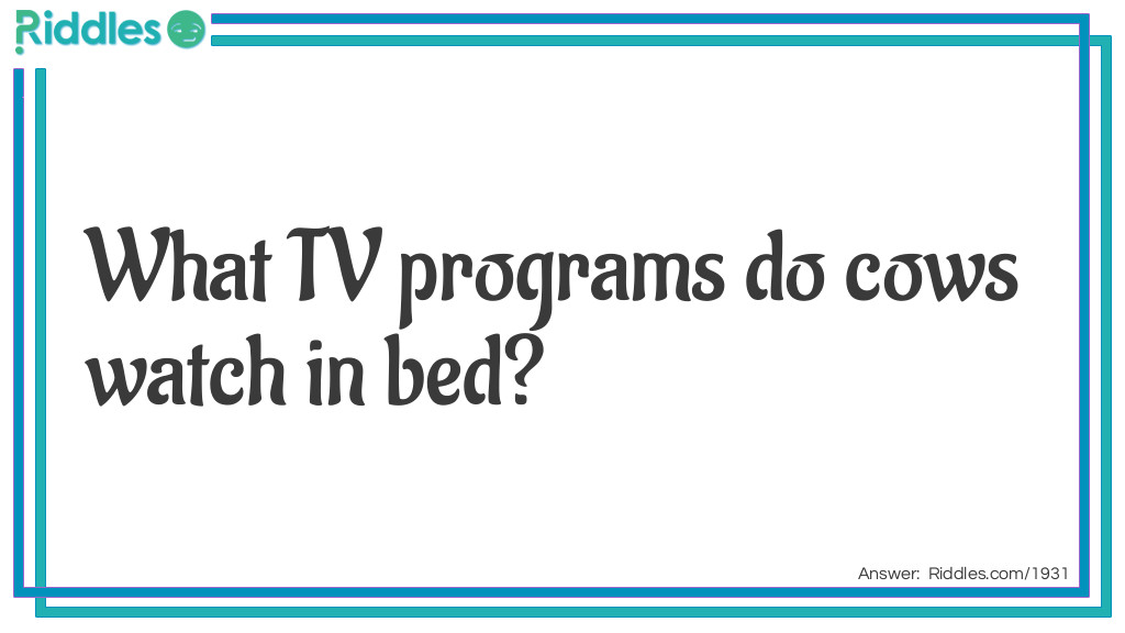 Riddle: What TV programs do cows watch in bed? Answer: Moo-vies.