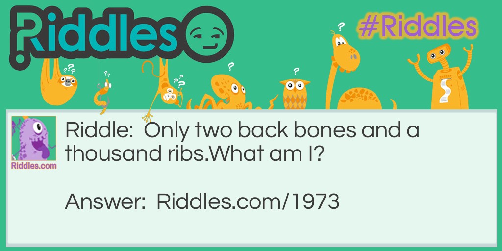 Riddle: Only two back bones and a thousand ribs.
What am I?
  Answer: Railroad track.