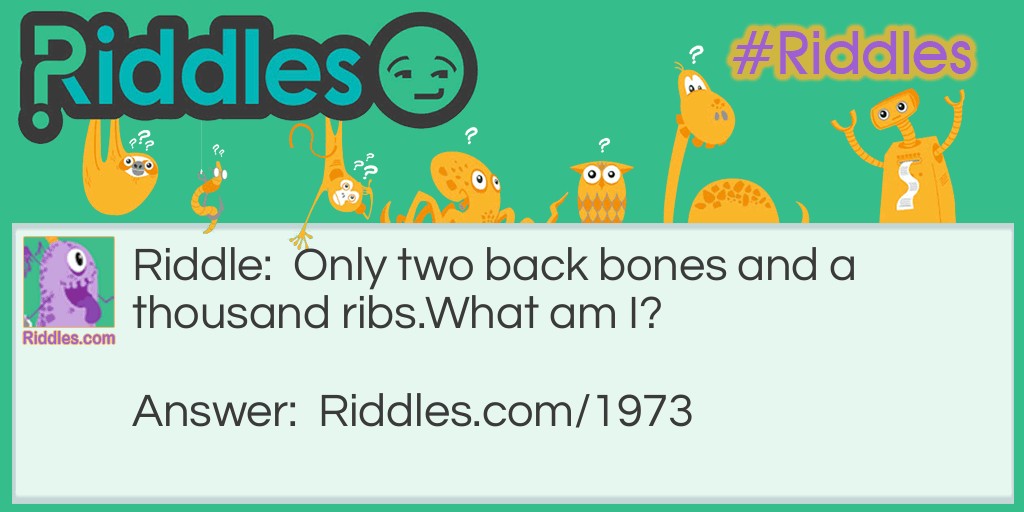 Only two back bones and a thousand ribs.
What am I?
 