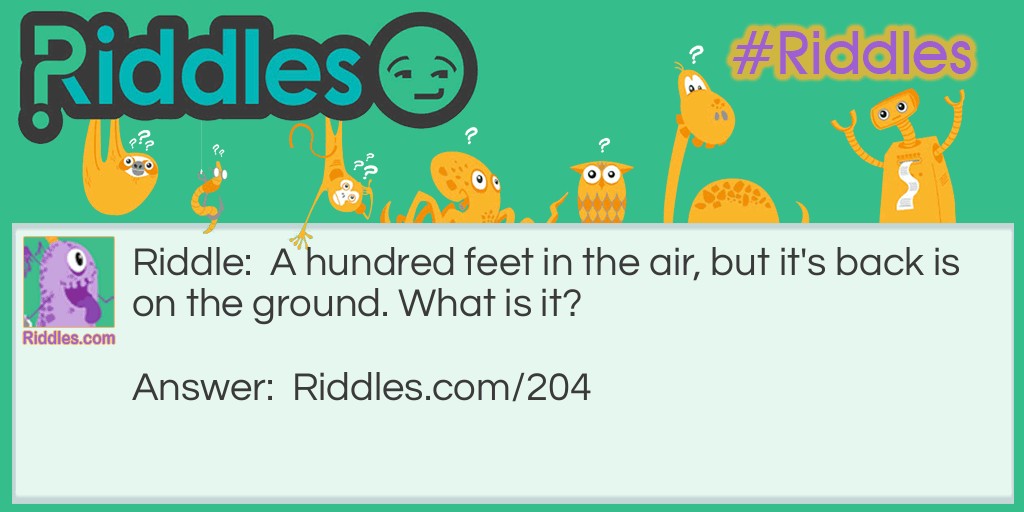 Click to see riddle A Hundred Feet answer.