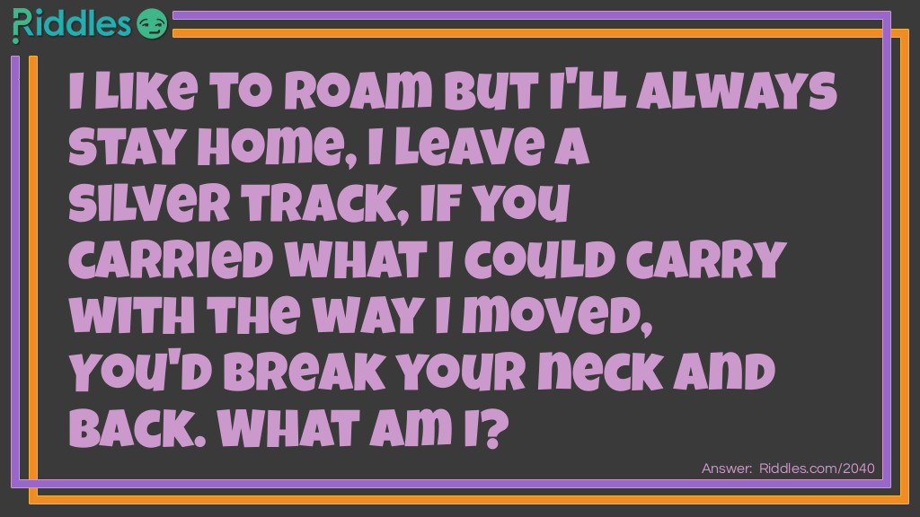 I like to roam but I'll always stay home, 
I leave a silver track, 
If you carried what I could carry with the way I moved, 
You'd break your neck and back. 
What am I?