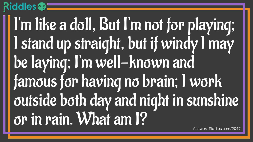 Riddle: I'm like a doll, But I'm not for playing; I stand up straight, but if windy I may be laying; I'm well-known and famous for having no brain; I work outside both day and night in sunshine or in rain.
What am I? Answer: A Scarecrow.