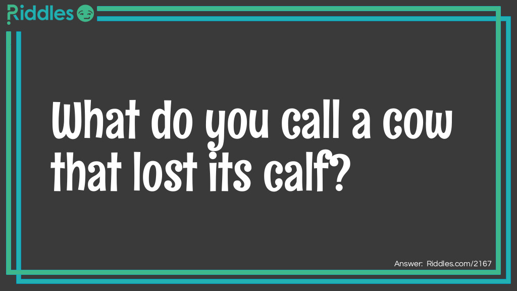 Lost Calf Riddle Meme.