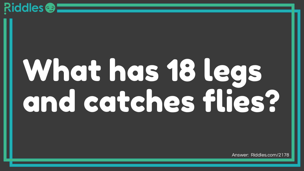 What has 18 legs and catches flies? Riddle Meme.