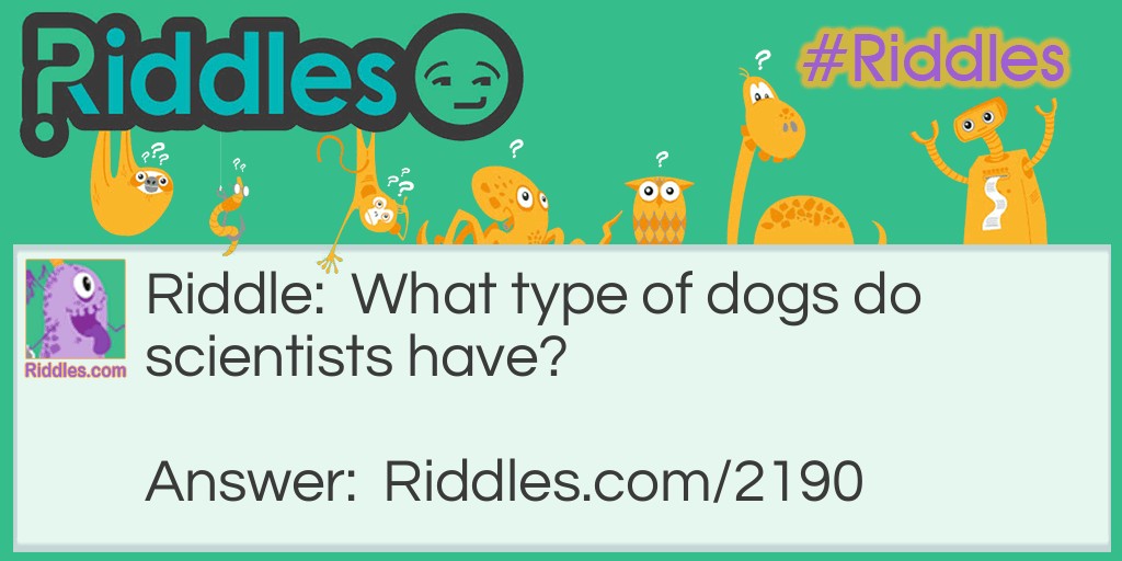 Riddle: What type of dogs do scientists have? Answer: Laboratory retrievers.