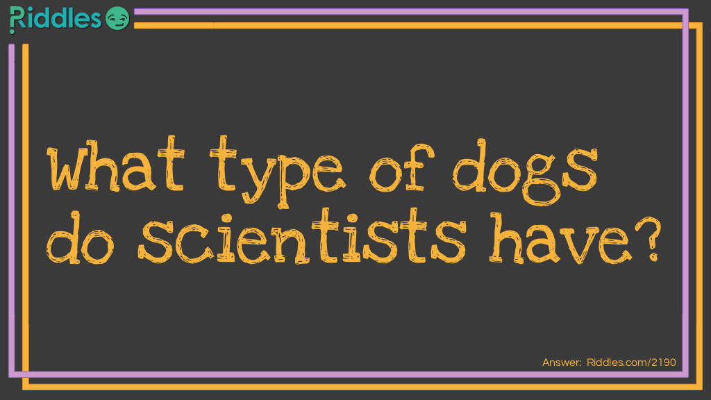 Science Dog  Riddle Meme.