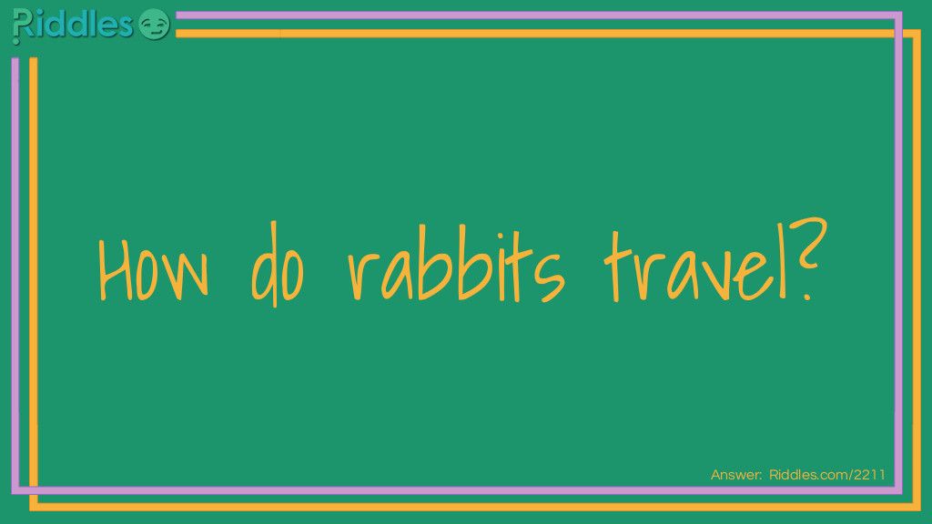 Riddle: How do rabbits travel? Answer: By hare-plane.