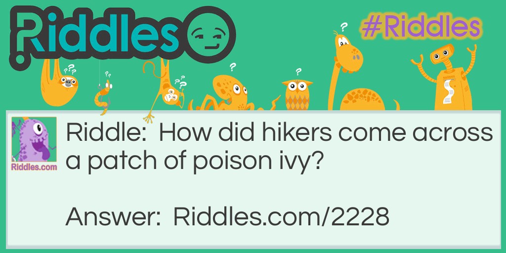 How did hikers come across a patch of poison ivy?