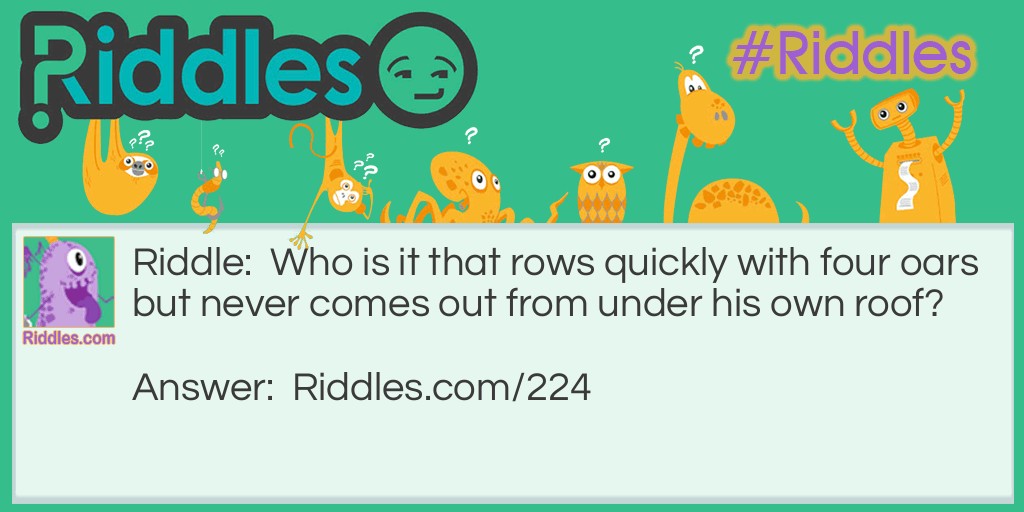 Click to see riddle Shy Little Guy answer.