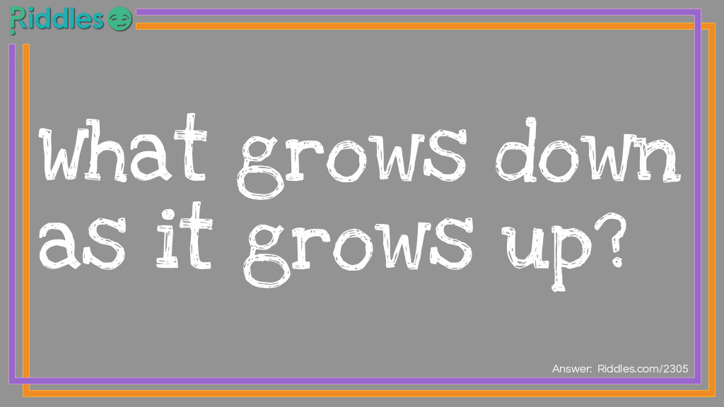 Click to see riddle What grows down as it grows up? answer.