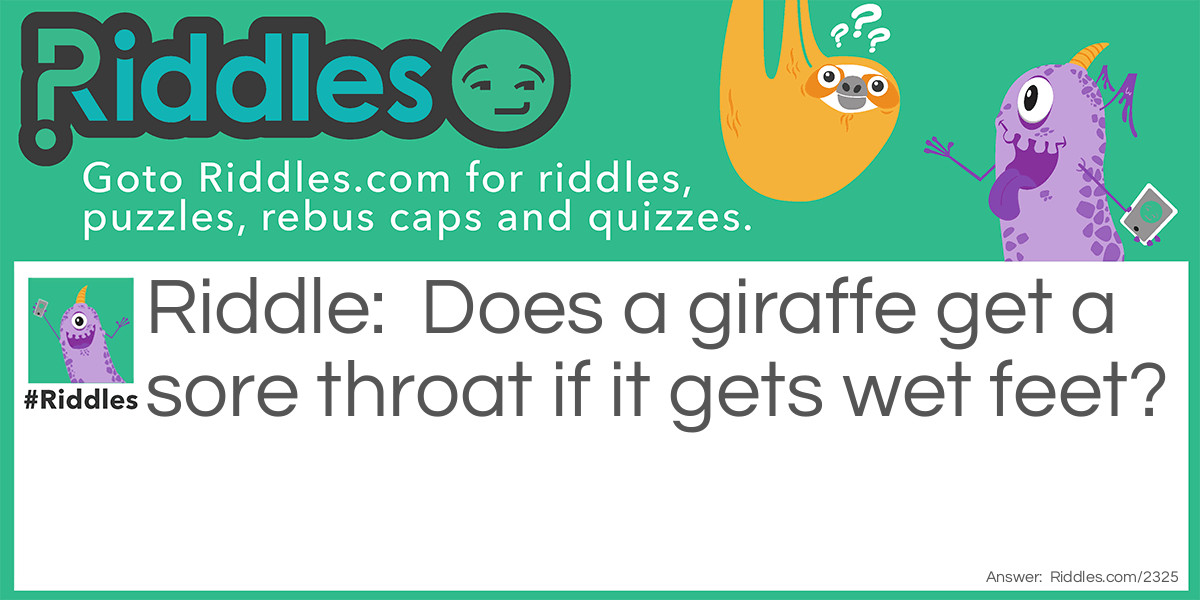 Does a giraffe get a sore throat if it gets wet feet?