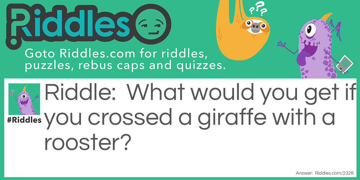 What would you get if you crossed a giraffe with a rooster?