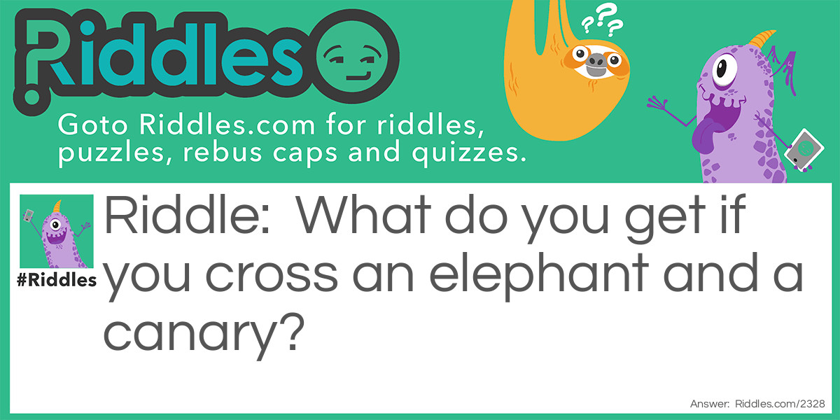 What do you get if you cross an elephant and a canary?