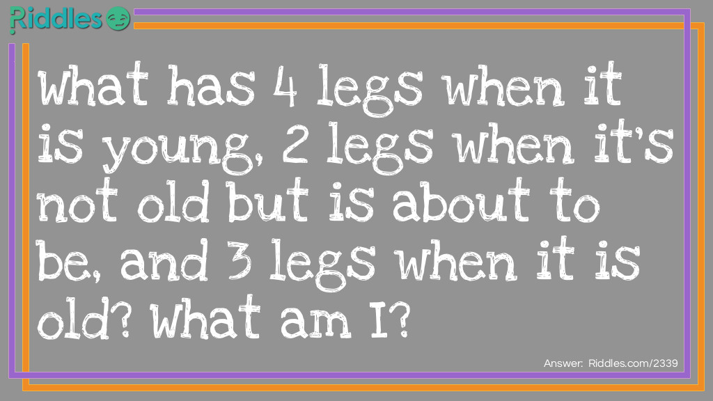 Riddle: What has 4 legs when it is young, 2 legs when it's not old but is about to be, and 3 legs when it is old? What am I? Answer: I am a human. I crawl on 4 legs when I am a baby I walk on 2 legs when I am an adult, and I have a cane while walking when I am old.