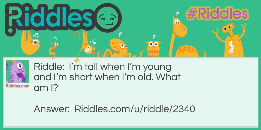 I'm tall when I'm young and I'm short when I'm old. What am I?