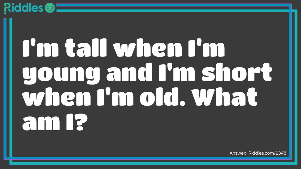 Good Riddles: I'm tall when I'm young and I'm short when I'm old. What am I? Riddle Meme.
