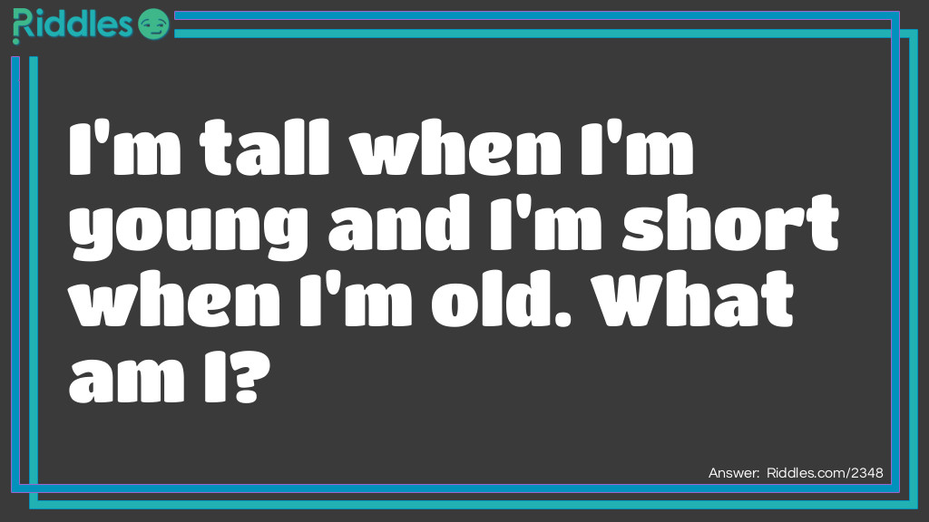 Click to see riddle Tall when young and short when old answer.