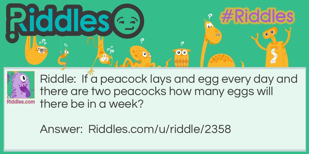 Riddle: If a peacock lays and egg every day and there are two peacocks how many eggs will there be in a week? Answer: None- peacocks don't lay eggs, peahens lay eggs.