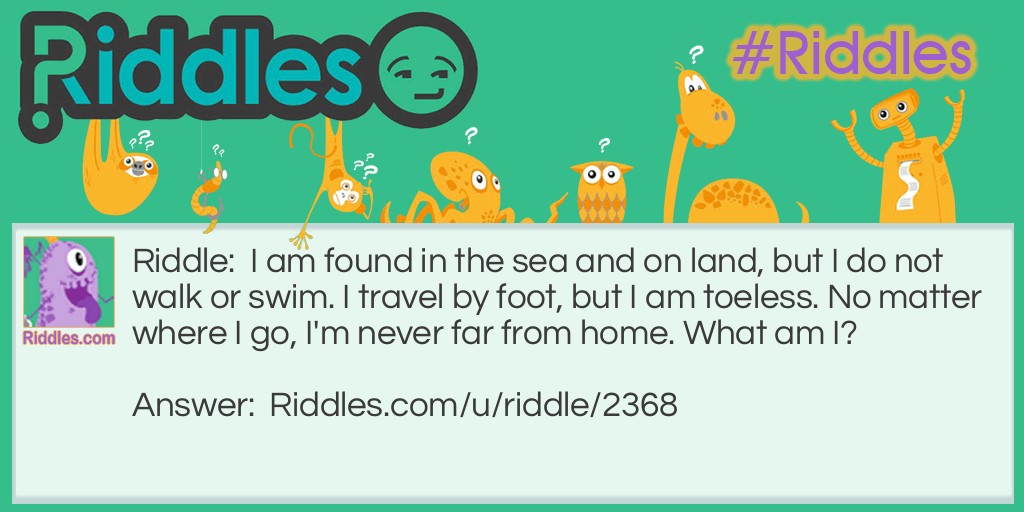 Riddle: I am found in the sea and on land, but I do not walk or swim. I travel by foot, but I am toeless. No matter where I go, I'm never far from home. What am I? Answer: A snail.