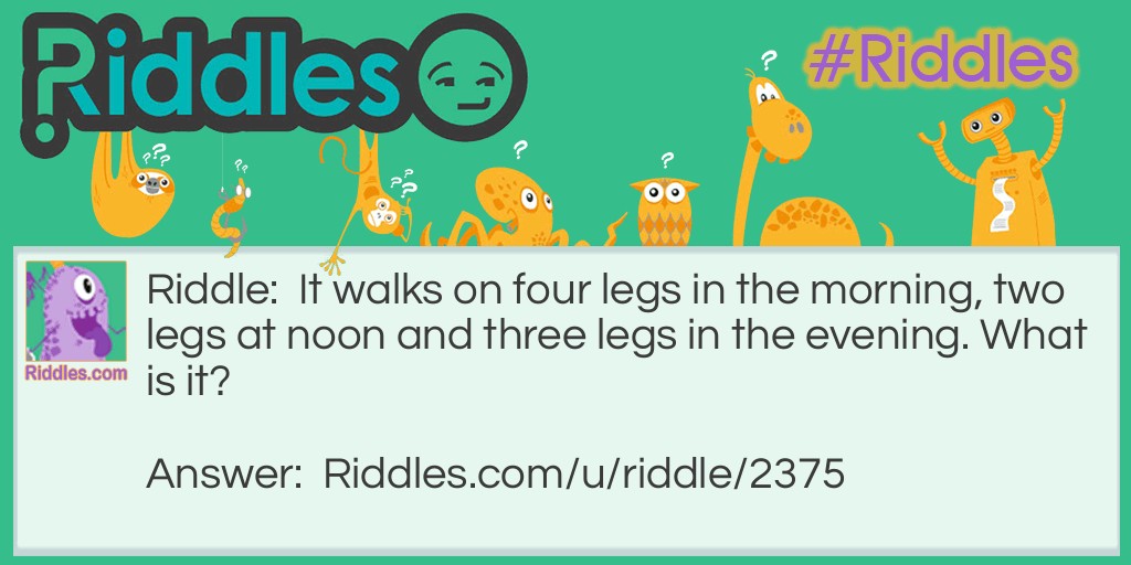 It walks on four legs in the morning, two legs at noon and three legs in the evening. What is it?