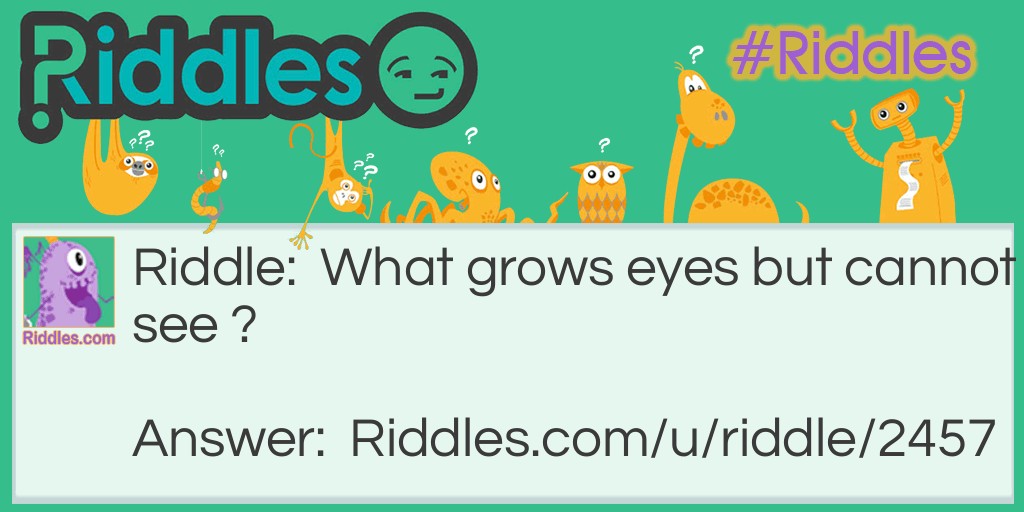 What grows eyes but cannot see ?