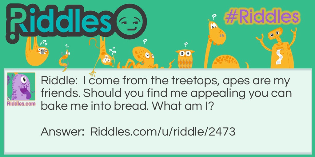 I come from the treetops, apes are my friends. Should you find me appealing you can bake me into bread. What am I?