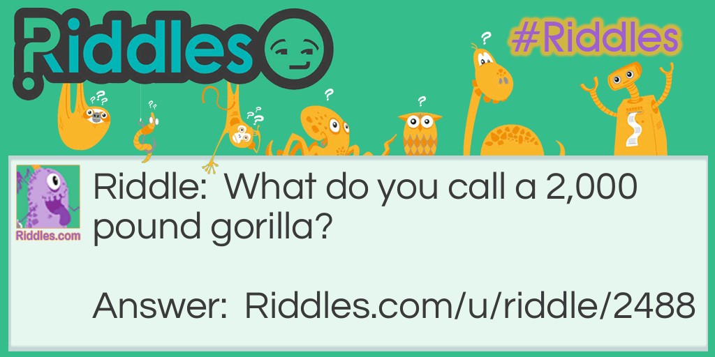 Mr. Gorilla  Riddle Meme.