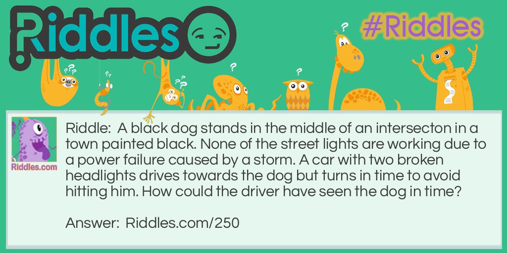 A black dog stands in the middle of an intersecton in a town painted black. None of the street lights are working due to a power failure caused by a storm. A car with two broken headlights drives towards the dog but turns in time to avoid hitting him. How could the driver have seen the dog in time?