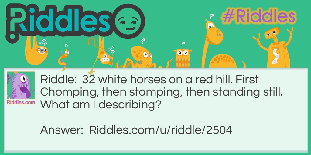 32 white horses on a red hill. First Chomping, then stomping, then standing still. What am I describing?