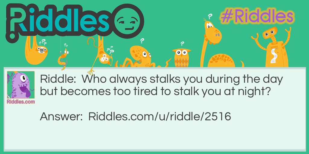 Riddle: Who always stalks you during the day but becomes too tired to stalk you at night? Answer: Your own shadow!