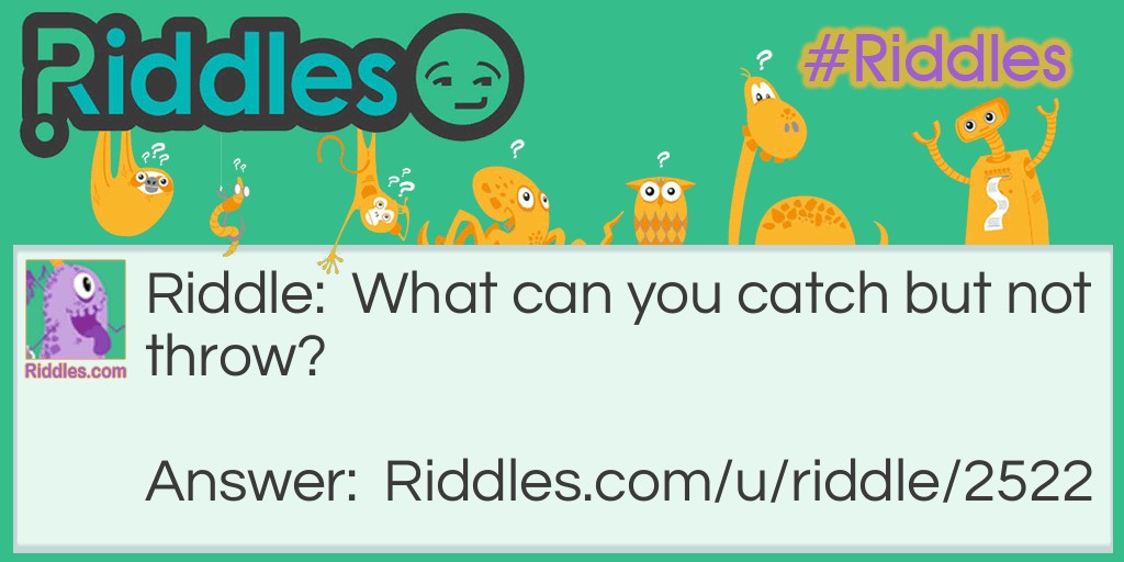 What can you throw but not catch Riddle Meme.