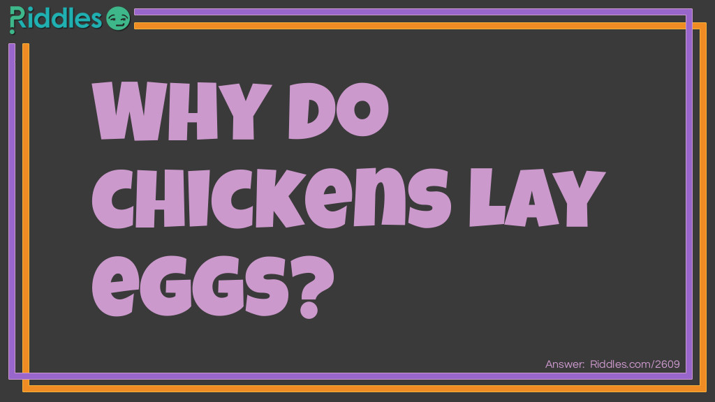 Funny Riddles: Why do chickens lay eggs? Riddle Meme.