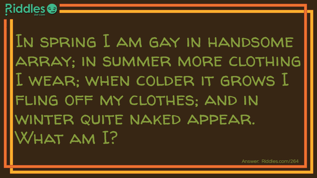 In spring I am gay in handsome array; in summer more clothing I wear; when colder it grows I fling off my clothes; and in winter quite naked appear. What am I?