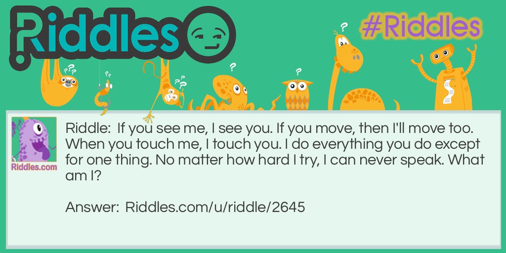 If you see me, I see you. If you move, then I'll move too. When you touch me, I touch you. I do everything you do except for one thing. No matter how hard I try, I can never speak. What am I?