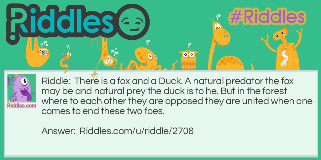 There is a fox and a Duck. A natural predator the fox may be and natural prey the duck is to he. But in the forest where to each other they are opposed they are united when one comes to end these two foes.