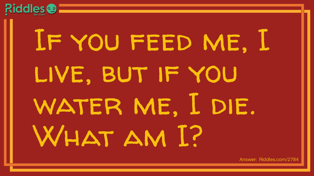 Riddle: If you feed me, I live, but if you water me, I die. What am I? Answer: A Fire